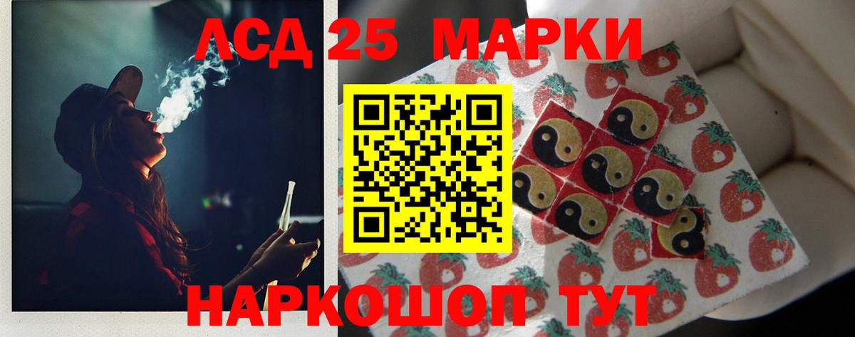 Галлюциногенные грибы Красноармейск