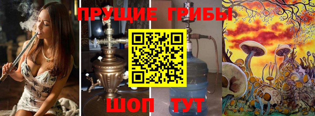 Псилоцибиновые грибы Magic Shrooms  Вход с VPN  Красноармейск  Галлюциногенные грибы MAGIC MUSHROOMS 